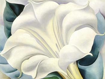 喬治亞 奧基夫 White Trumpet Flower 喬治亞 奧基夫 White Trumpet Flower
